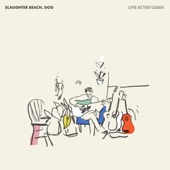 Map of the Stars by Slaughter Beach, Dog