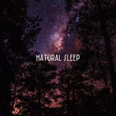 Natural Sleep artwork