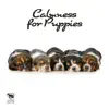 Calmness for Puppies album lyrics, reviews, download