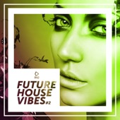 Future House Vibes, Vol. 2 artwork
