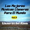 Las Mejores Músicas Llaneras para el Mundo, Vol. 9