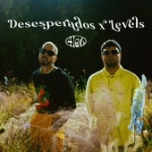 Desesperados X Levels artwork