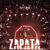 Zapata artwork