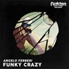 Funky Crazy - Single