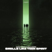 Smells Like Teen Spirit (Extended Mix) artwork