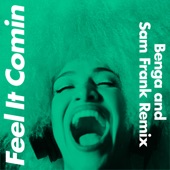 Feel It Comin (Benga & Sam Frank Remix) [Edit] artwork
