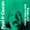 Feel It Comin (Benga & Sam Frank Remix) [Edit] artwork