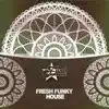 Fresh Funky House album lyrics, reviews, download