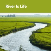 River Is Life artwork