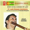 Pandit Hari Prasad Chaurasia - Raag Jait