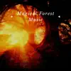 Magical Forest Music album lyrics, reviews, download