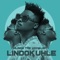 Lotto (feat. Ami Faku) - Mlindo The Vocalist lyrics