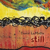 David LaMotte - Coming Alive Again