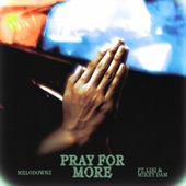 Pray For More (feat. Lisi & Mikey Dam) artwork