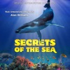 Secrets of the Sea (Original Motion Picture Soundtrack) artwork