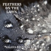 Feathers on the lawn (feat. Edu Kettunen) artwork