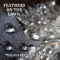 Feathers on the lawn (feat. Edu Kettunen) artwork