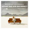 What Do We Do Now? - Single album lyrics, reviews, download