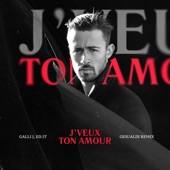 J'veux Ton Amour (Gesualdi Remix) artwork