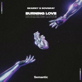 Burning Love (Radio Edit) artwork