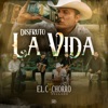 Disfruto La Vida - Single