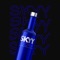 Skyy (feat. First) - Baron lyrics