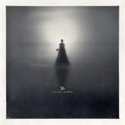 36 - Saphron Drowning