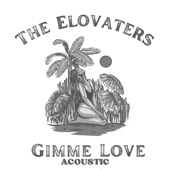 The Elovaters - Gimme Love - Acoustic