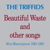 Beautiful Waste and Other Songs - Mini Masterpieces 1983 - 1985 artwork