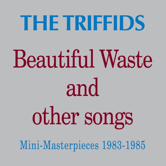 Cover artwork for Figurine
