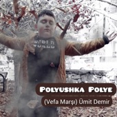 Polyushka Polye artwork