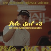 Pelo Sul #3 (feat. Domi, Baqui, Quiassaca & Sacik Brow) artwork