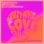 Crazy What Love Can Do (Acoustic) - Single
