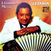 Lejanía artwork