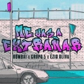 Me Vas a Extrañar artwork