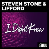 Steven Stone - I Didn't Know