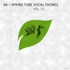 Spring Tube Vocal Themes, Vol. 11, 2017