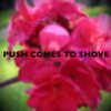 Push Comes to Shove - Single, 2017