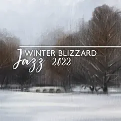 Winter Blizzard Jazz 2022: Smooth Instrumental Jazz Music for Winter Ambience, Christmas Markets, Mulled Wine by Instrumental Piano Universe & Romantic Love Songs Academy album reviews, ratings, credits