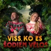 Viss, Ko Es Šodien Vēlos - Single