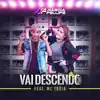 Stream & download Vai Descendo (feat. Mc Troia) - Single