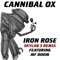 Iron Rose - Cannibal Ox & Skylab 3 lyrics