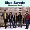 Magnet and Steel (Remastered) - Single album lyrics, reviews, download
