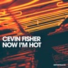 Now I'm Hot - Single