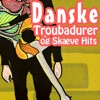 Danske Troubadurer og Skæve Hits, 2017