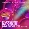 Future In Your Hands (feat. Aloe Blacc) - Single