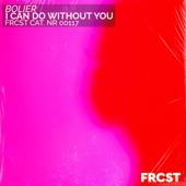 I Can Do Without You artwork