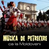 Muzica de Petrecere ca la Moldoveni