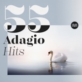 55 Adagio Hits artwork