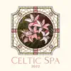 Celtic Spa 2022: Best Classicas Irish Relaxation Music, Free St. Patrick’s Day (Harp & Flute) album lyrics, reviews, download